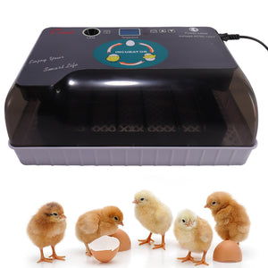 12 Eggs Egg Incubator Fully Automatic Incubator Digital Poultry Hatcher Egg Turning Temp Control with LED Candling Lamp