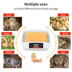 32 Eggs Digital Egg Incubator with Automatic Egg Turning and Humidity & Temperature Control, LED Candler