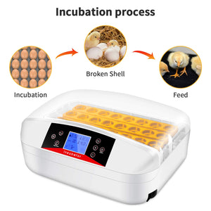 32 Eggs Digital Egg Incubator with Automatic Egg Turning and Humidity & Temperature Control, LED Candler