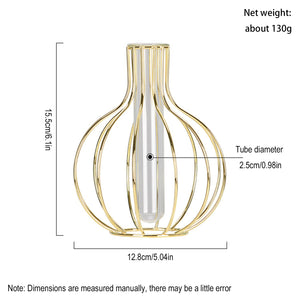 Glass-Vase-with-Metal-Frame